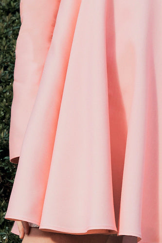 Swifts Dress in Pink