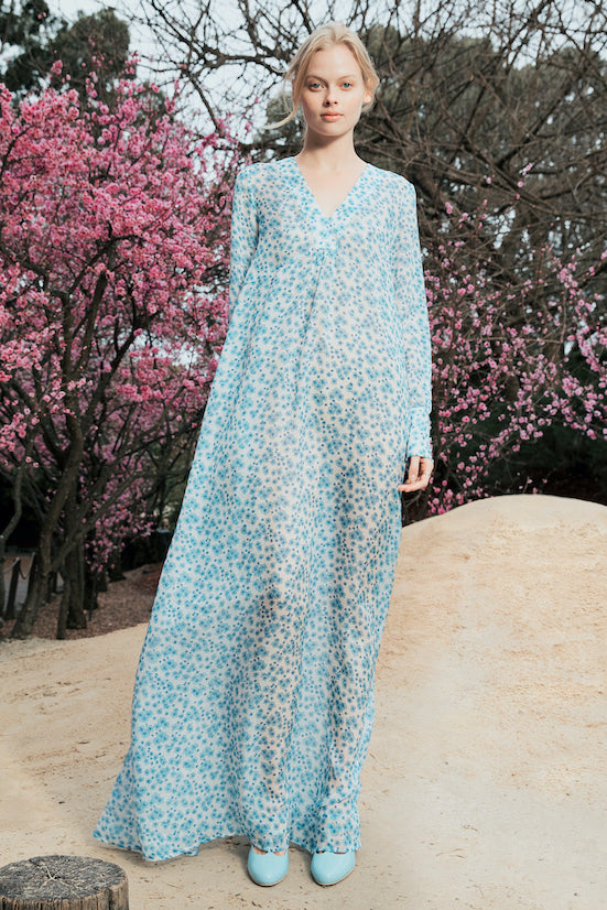 Jardin Dress in Blue Print