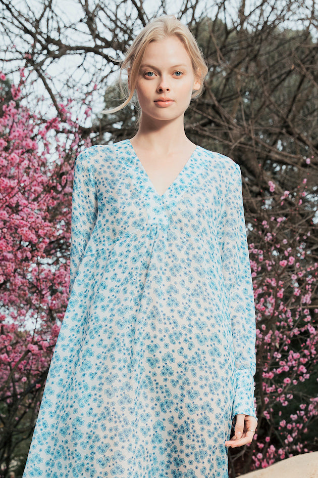 Jardin Dress in Blue Print
